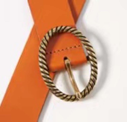 L'ovale forment les accessoires en métal de la boucle des femmes a mélangé la couleur pour la ceinture chausse des vêtements de sac